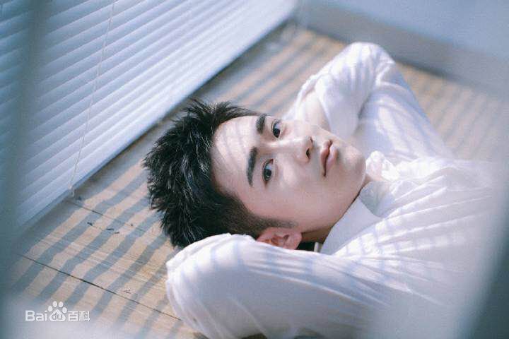 陶灏景(Vincent Tao)高清图集