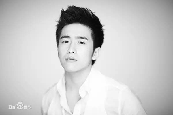 陶灏景(Vincent Tao)高清图集