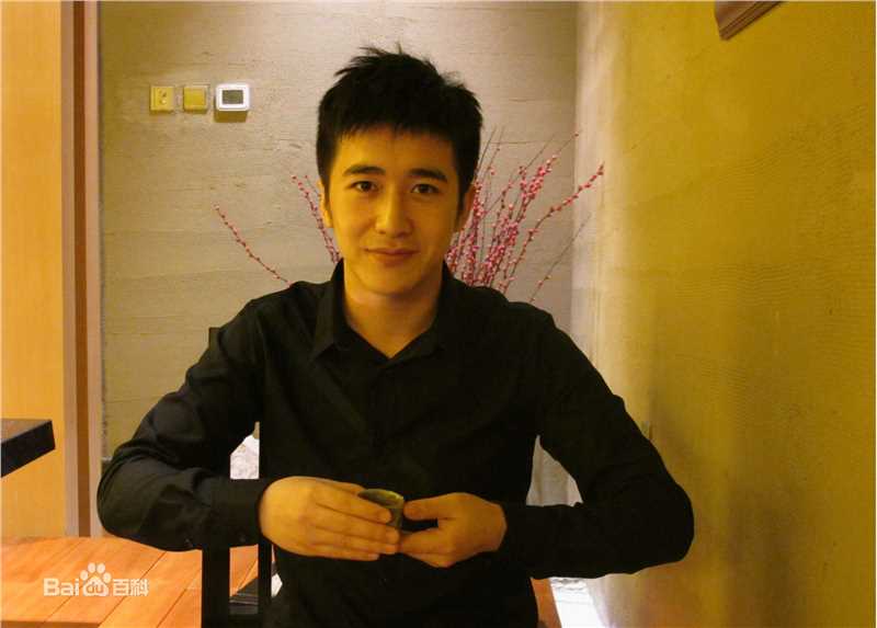 高清陶灏景(Vincent Tao)陶帅精彩图册