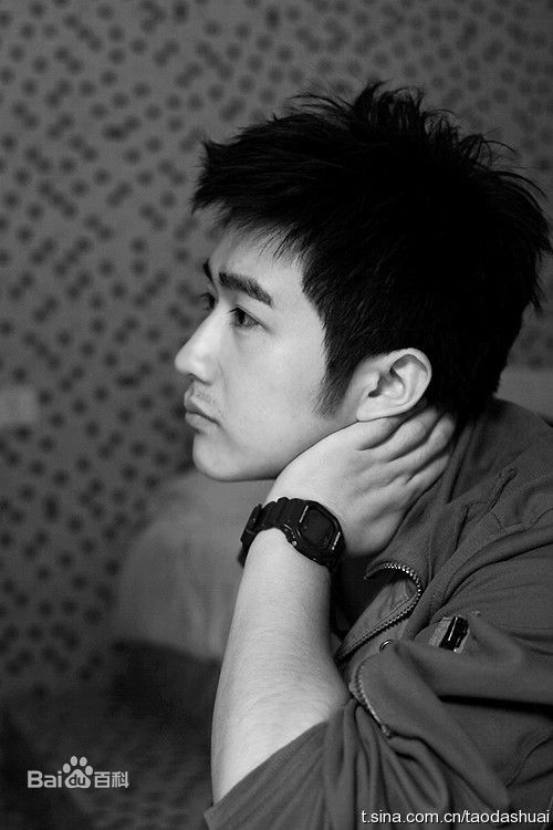 高清陶灏景(Vincent Tao)陶帅精彩图册