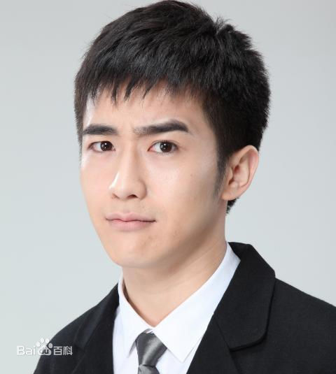 高清陶灏景(Vincent Tao)陶帅精彩图册