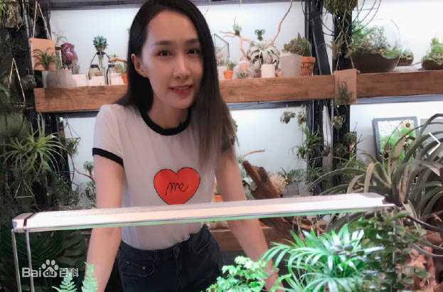 《翟煦飞》封面图片