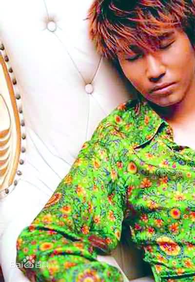 沙宝亮(ShaBaoliang)最全个人壁纸