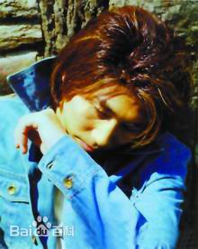 沙宝亮(ShaBaoliang)最全个人壁纸