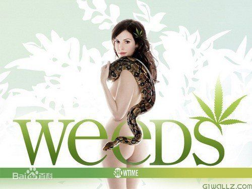 最优质玛丽·露易斯·帕克(Mary Louise Parker)素颜照