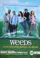 精选玛丽·露易斯·帕克(Mary Louise Parker)