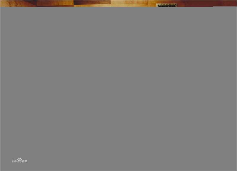 最新罗丝·麦高恩(Rose McGowan)精彩图册