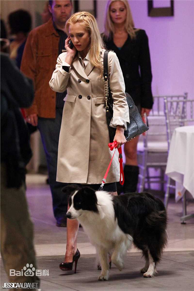 精选杰西卡·阿尔芭(Jessica Alba)精彩图册4