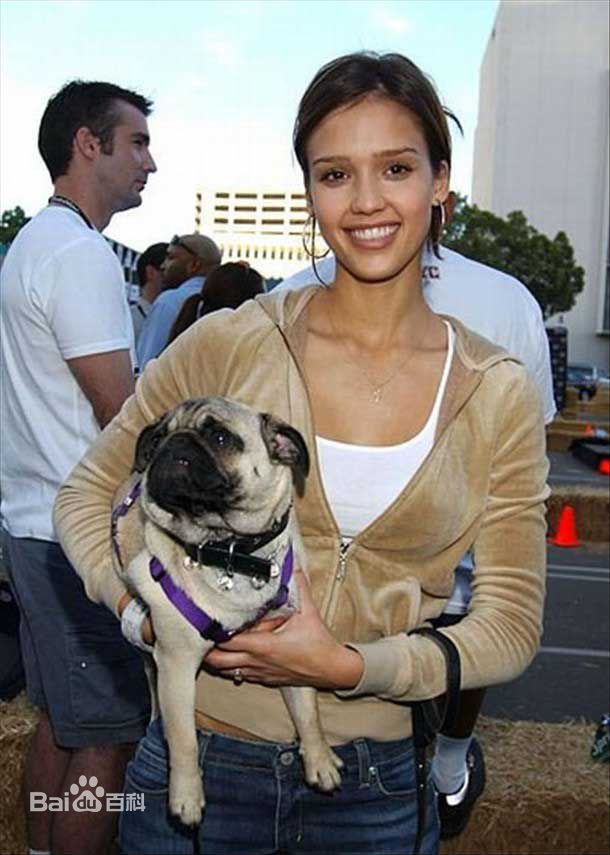 最全杰西卡·阿尔芭(Jessica Alba)精彩图册