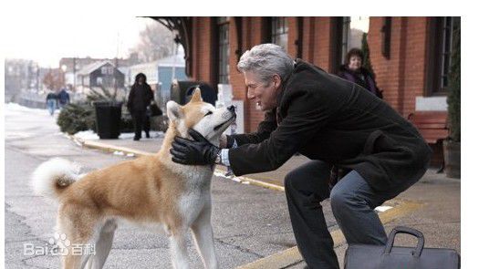 理查·基尔(Richard Tiffany Gere)生活照壁纸壁纸