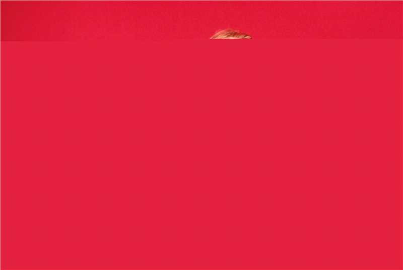 高清麦当娜·西科尼(Madonna Ciccone)麦当娜精彩图册