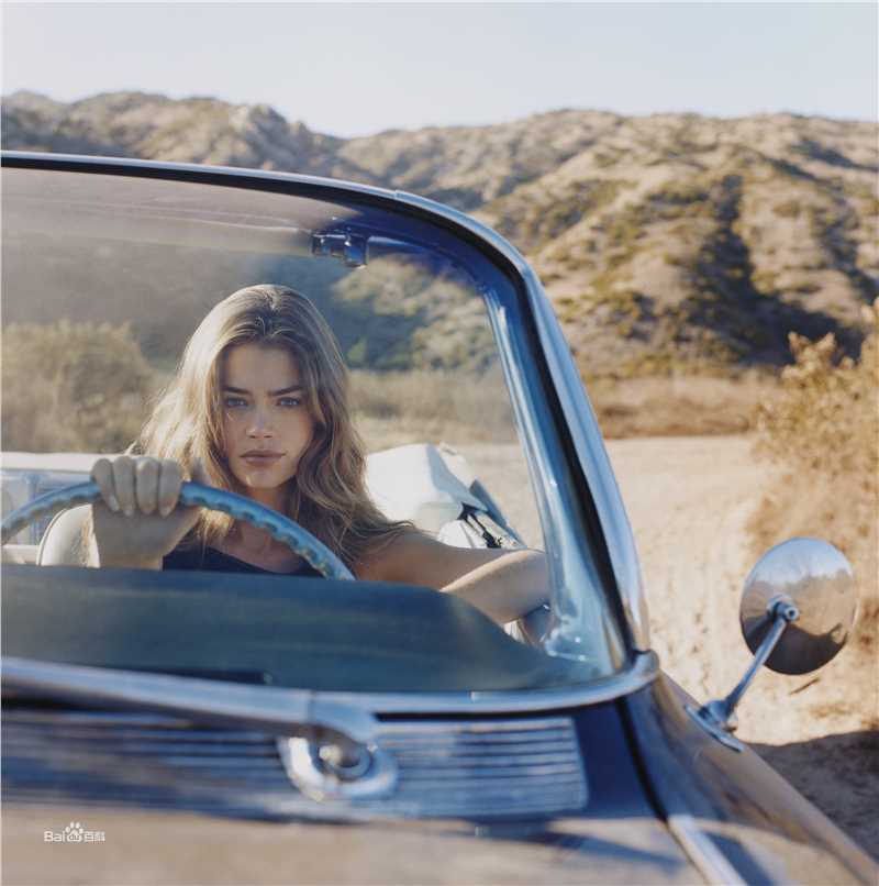 精选丹妮丝·理查兹(Denise Richards)