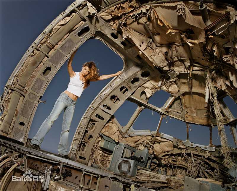 最优质丹妮丝·理查兹(Denise Richards)精彩图册