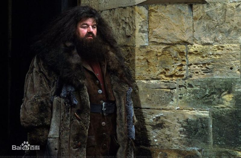 最优质罗比·考特拉尼(Robbie Coltrane)罗彼·考特拉尼精彩图册