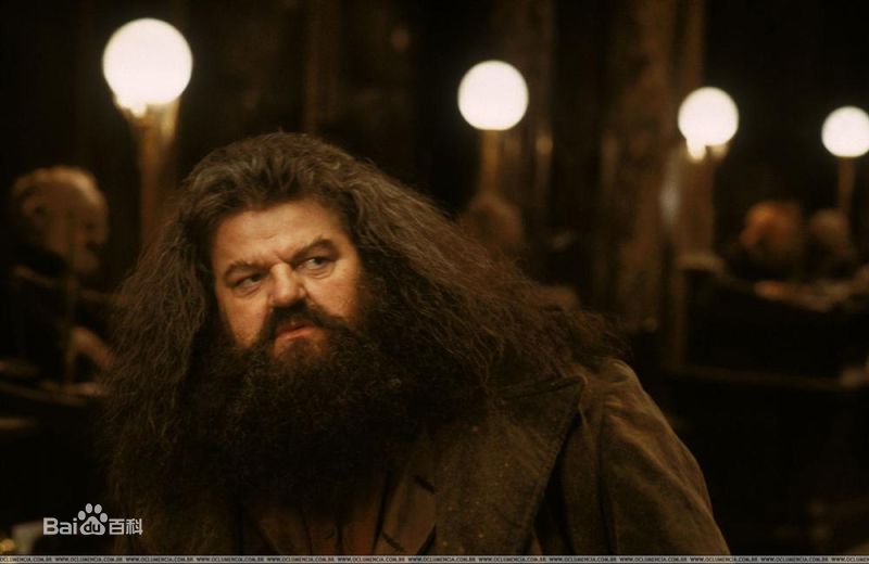 最优质罗比·考特拉尼(Robbie Coltrane)罗彼·考特拉尼精彩图册