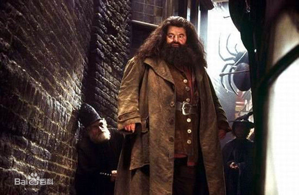 最优质罗比·考特拉尼(Robbie Coltrane)罗彼·考特拉尼精彩图册