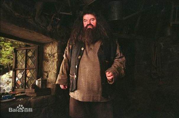 最新罗比·考特拉尼(Robbie Coltrane)精彩图册