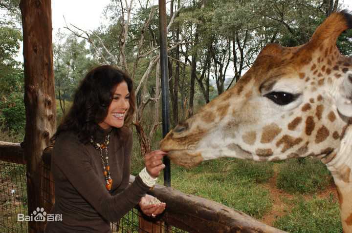 最全泰瑞·海切尔(Teri Hatcher)精彩图册