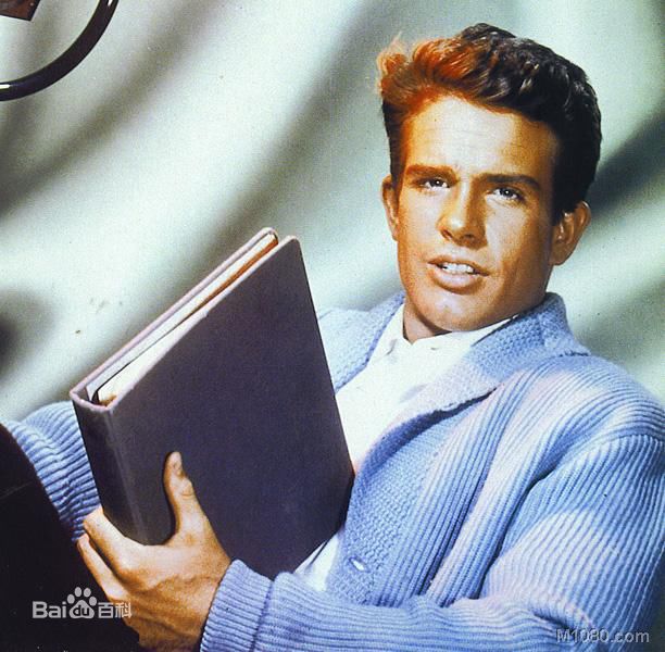 沃伦·比蒂(Warren Beatty)合并图册素颜照壁纸