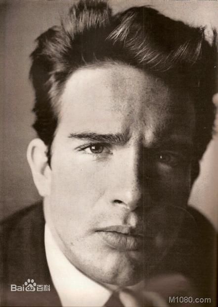 沃伦·比蒂(Warren Beatty)合并图册素颜照壁纸