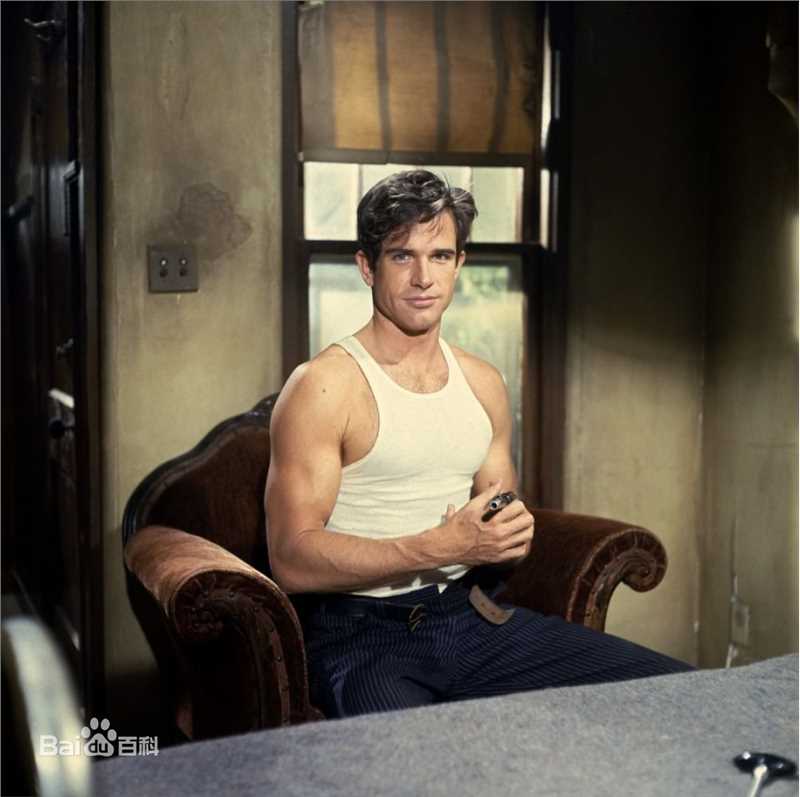 精选沃伦·比蒂(Warren Beatty)精彩图册
