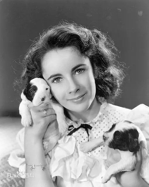 最优质伊丽莎白·泰勒(Elizabeth Taylor)素颜照