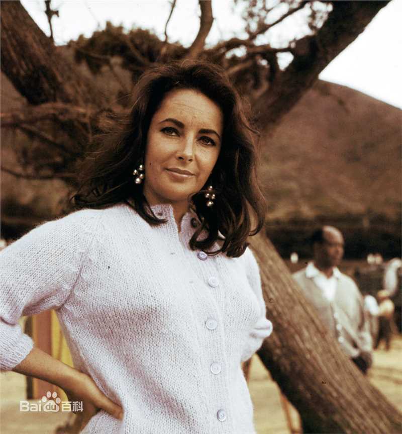 伊丽莎白·泰勒(Elizabeth Taylor)精彩图册
