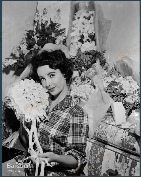 伊丽莎白·泰勒(Elizabeth Taylor)精彩图册