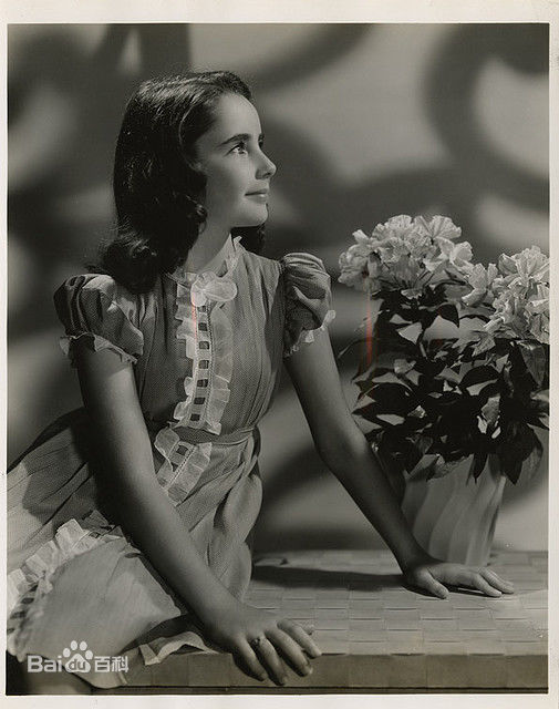 伊丽莎白·泰勒(Elizabeth Taylor)精彩图册