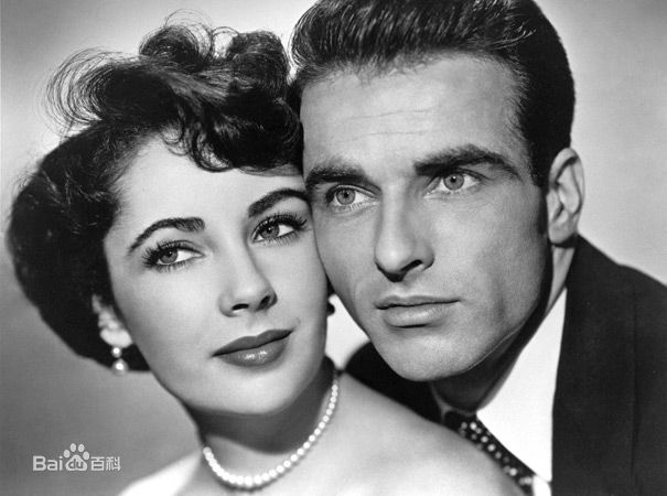 伊丽莎白·泰勒(Elizabeth Taylor)精彩图册