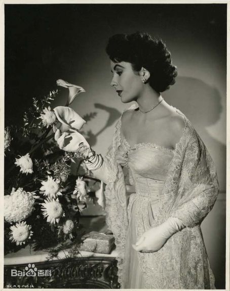 最优质伊丽莎白·泰勒(Elizabeth Taylor)精彩图册