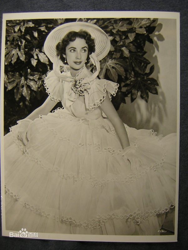 最优质伊丽莎白·泰勒(Elizabeth Taylor)精彩图册