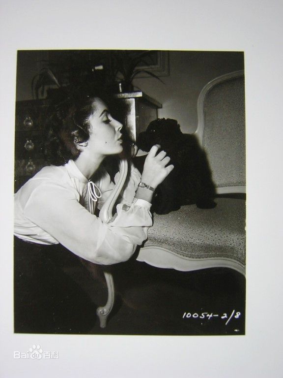 最优质伊丽莎白·泰勒(Elizabeth Taylor)精彩图册