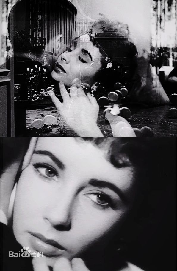 最优质伊丽莎白·泰勒(Elizabeth Taylor)精彩图册