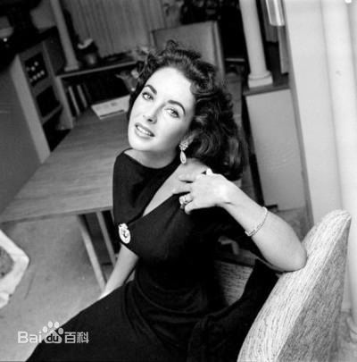 最优质伊丽莎白·泰勒(Elizabeth Taylor)精彩图册
