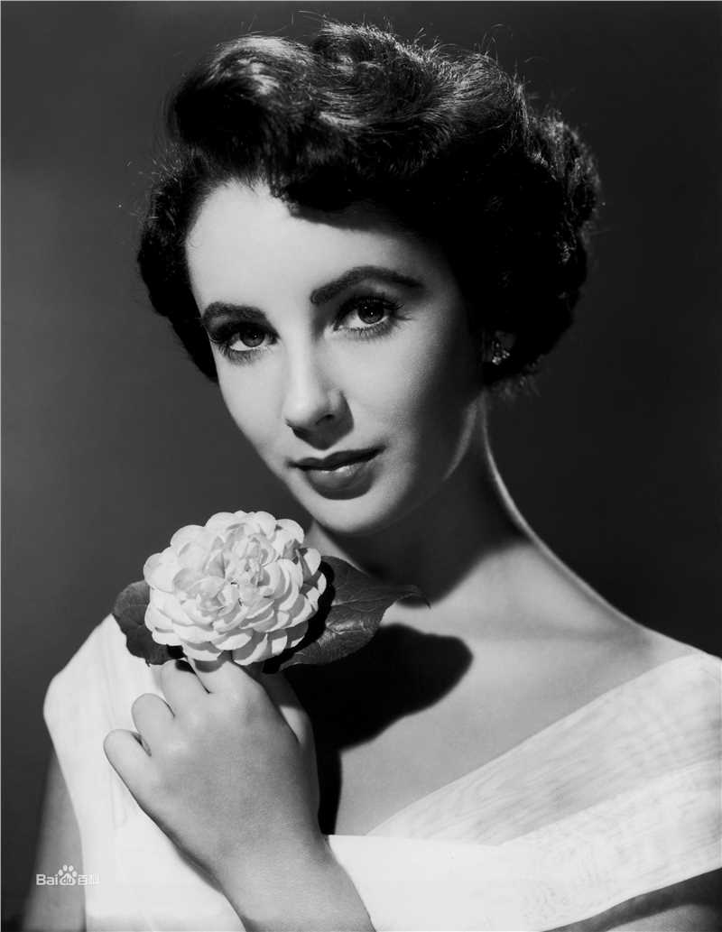 最优质伊丽莎白·泰勒(Elizabeth Taylor)精彩图册