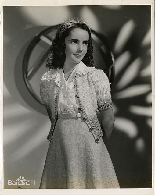 最优质伊丽莎白·泰勒(Elizabeth Taylor)精彩图册