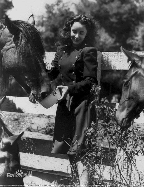 精选伊丽莎白·泰勒(Elizabeth Taylor)精彩图册1