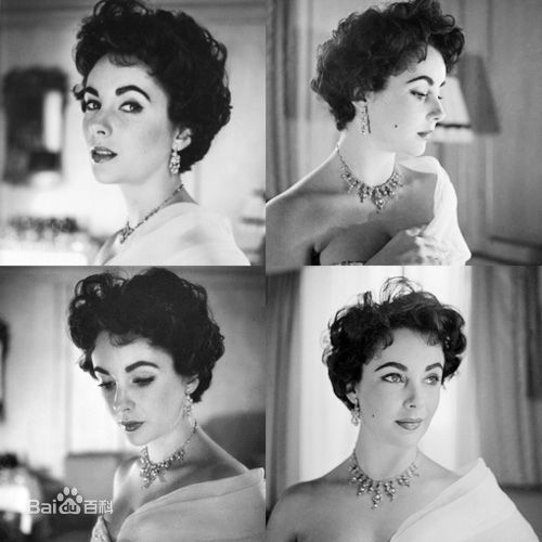 伊丽莎白·泰勒(Elizabeth Taylor)精彩图册1