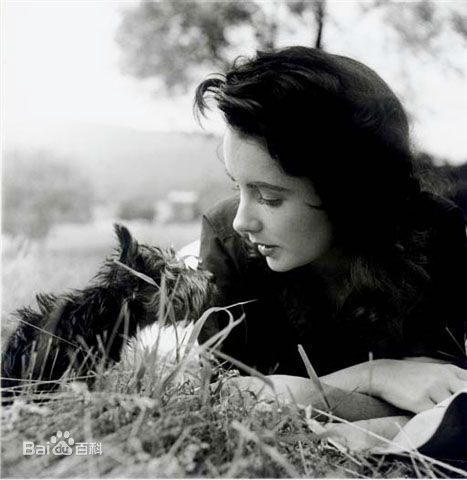 伊丽莎白·泰勒(Elizabeth Taylor)精彩图册1