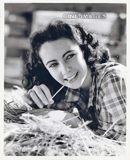 伊丽莎白·泰勒(Elizabeth Taylor)精彩图册1