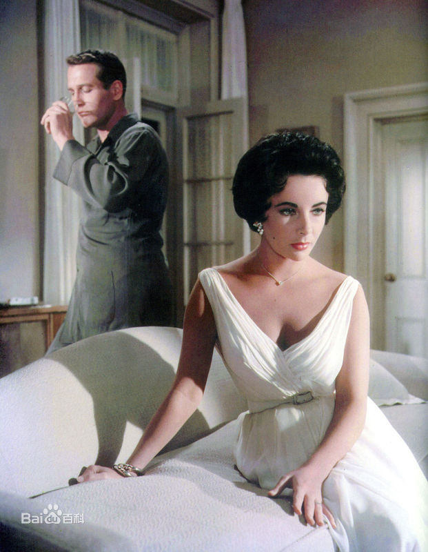 伊丽莎白·泰勒(Elizabeth Taylor)精彩图册1