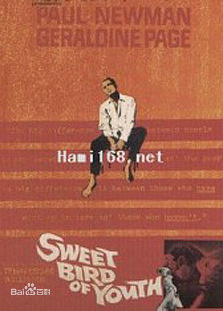 精选伊丽莎白·泰勒(Elizabeth Taylor)