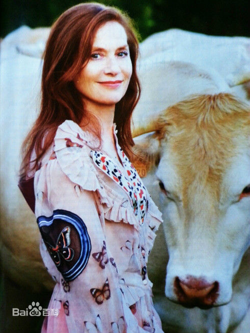 伊莎贝尔·于佩尔(Isabelle Huppert)伊莎贝尔于佩尔壁纸壁纸