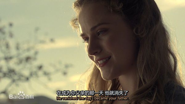 埃文·蕾切尔·伍德(Evan Rachel Wood)《西部世界》精选剧照