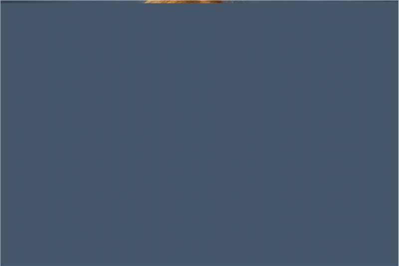 埃文·蕾切尔·伍德(Evan Rachel Wood)精彩图册