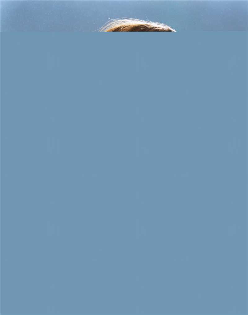 吉莲·玛丽 安德森(Gillian .Leigh .Mary.Anderson)吉莲·安德森前后照片