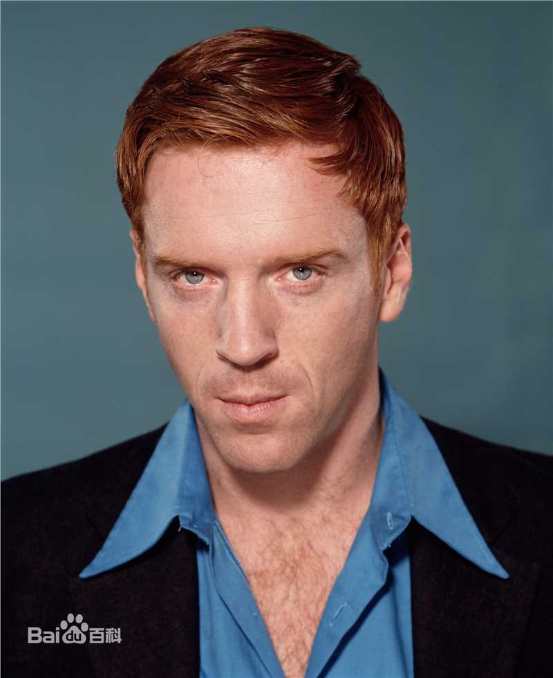 精选戴米恩·路易斯(Damian Lewis)