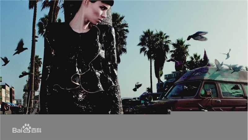 最优质鲁妮·玛拉(Rooney Mara)精彩图册