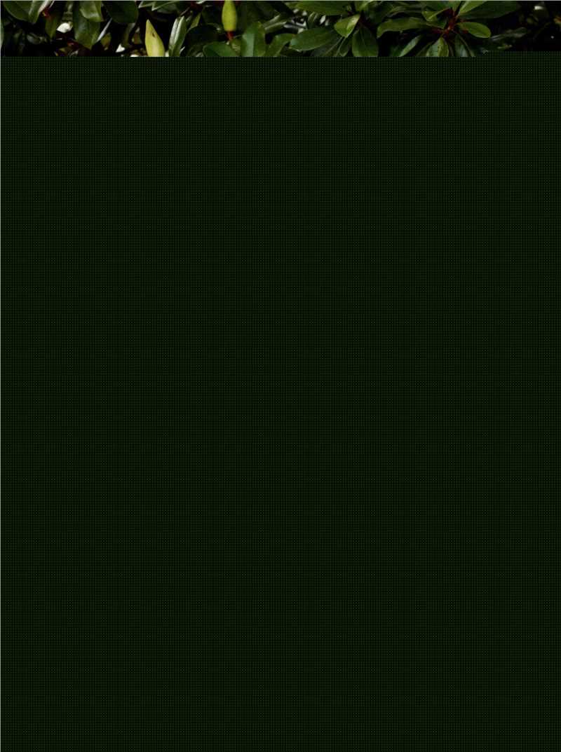 最全玛丽昂·歌迪亚(Marion Cotillard)精彩图册